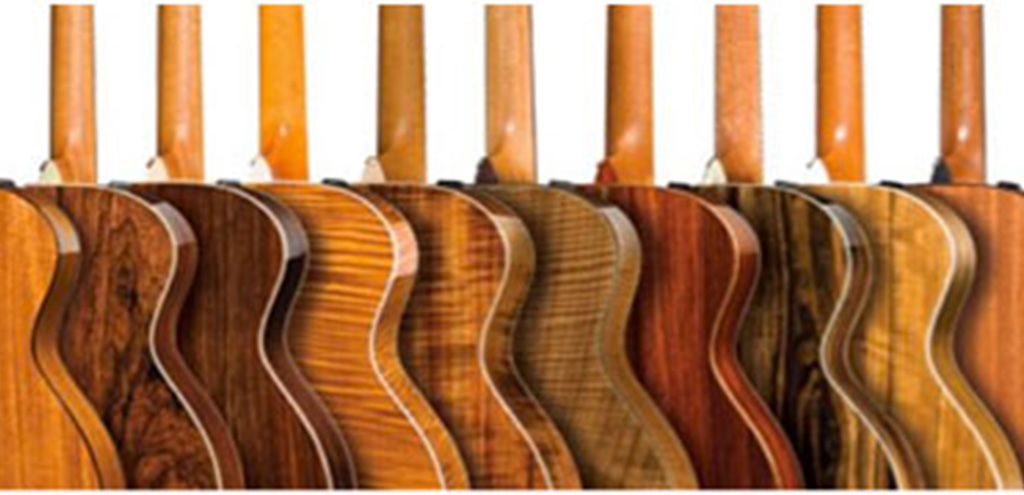 rodzaje drewna w gitarach